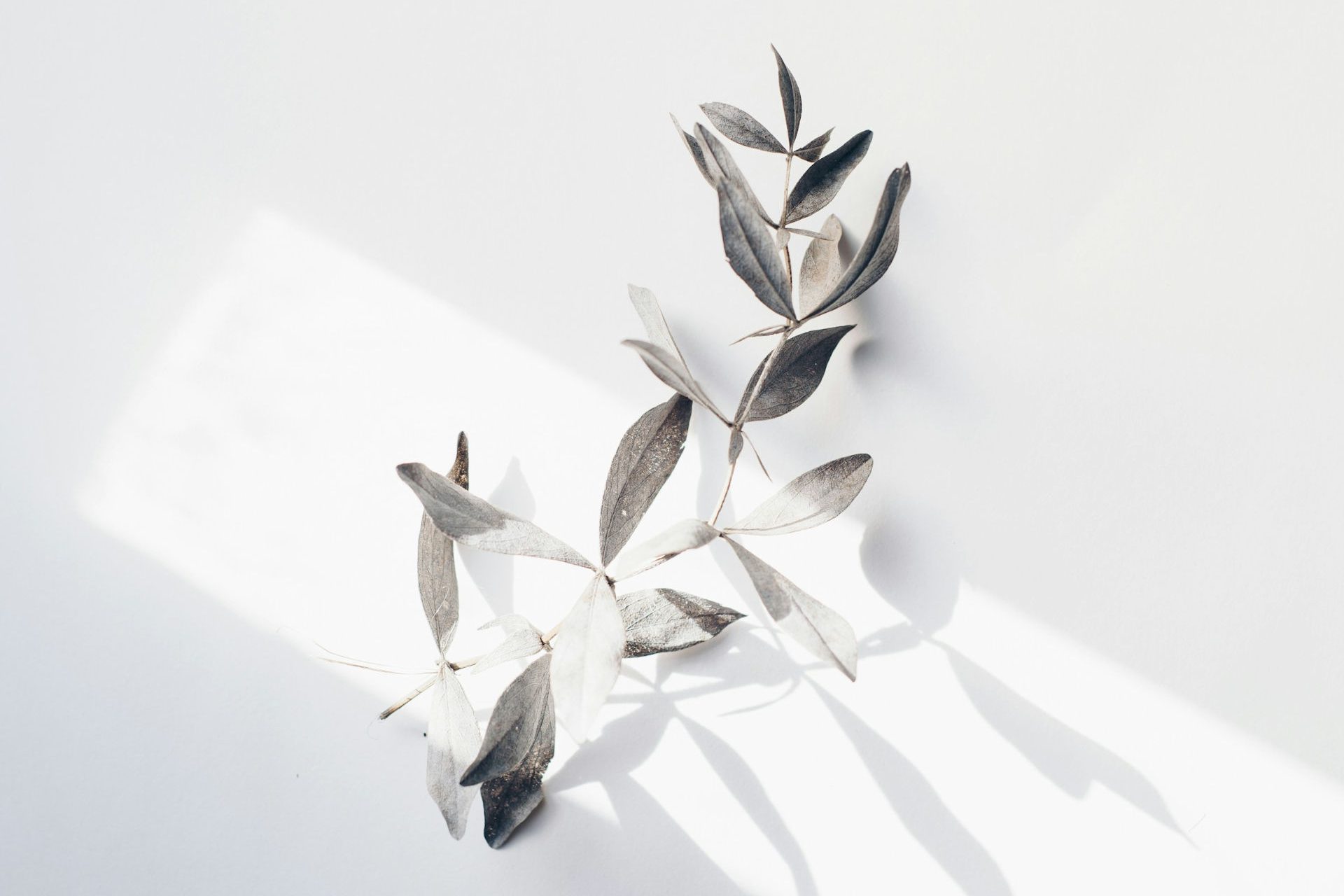 Slowing Down Is An Act Of Minimalism